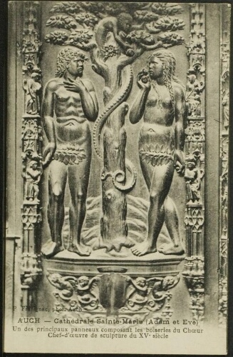 Auch  -  Cathédrale Sainte Marie (Adam et Eve). Un des principaux panneaux composant les boiseries du chœur. Chef-d'œuvre de sculpture du XVe siècle)
